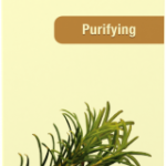 Nature’s Truth Aromatherapy 100% Pure Essential Oil, Tea Tree, 0.5 Fl Oz