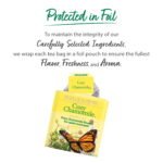 Bigelow, Assorted Herbal Caffeine Free Tea Bags, 18 Count - Image 6